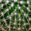 Mécanisme de défense des plantes