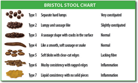 bristol-stool-chart-paléo